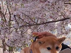 -龙美术馆(西岸馆)
