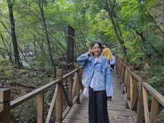 -青峰峡国家森林公园