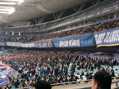 -南京奥林匹克体育中心-体育馆