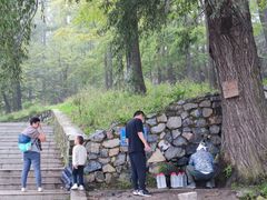 -阳台山自然风景区