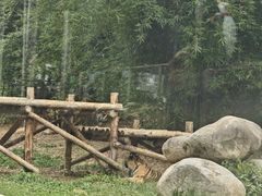 -泉州海丝野生动物世界