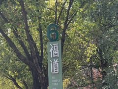 -福道