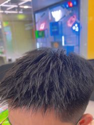 -东方麒麟·潘多拉SALON