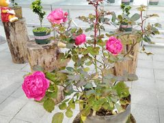 -狼山风景名胜区