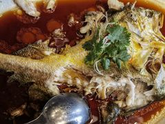 -羲和雅苑•北京烤鸭(平安国际金融中心店)