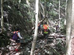 -楠溪江风景名胜区