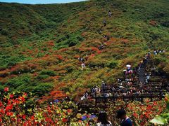 -大围山国家森林公园