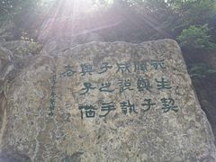 -西安曲江寒窑遗址公园
