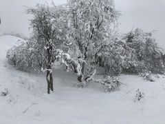 -太子岭滑雪场