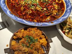 -新概念来凤鱼(璧山店)