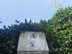 -植觉