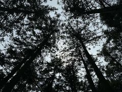 -天柱山风景区
