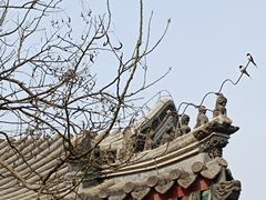 -莲池书院博物馆