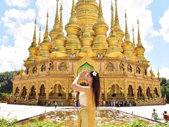 -西双版纳勐泐文化旅游区