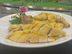 -金华安大酒楼·老牌潮菜·粤式茶点(东方国际店)