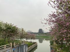 -海珠湖公园