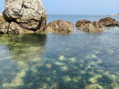 -养马岛旅游度假区