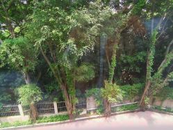 点击看大图 -馨月汇·独栋月子中心(南山店)