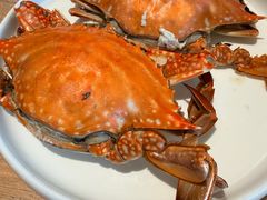 -连鹭海鲜·大连菜(星海店)
