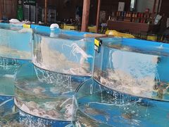 -沿海渔家院蒸汽海鲜·东北菜(东戴河店)