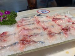 -港升鱼师傅·中山脆肉鲩