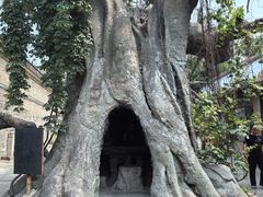 -康百万庄园