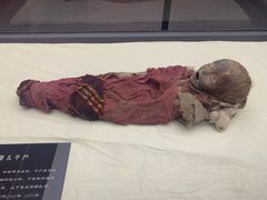 -巴音郭楞蒙古自治州博物馆