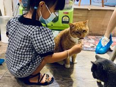 -小时光咖啡馆(开森度假森林店)