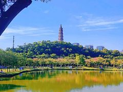 -顺峰山公园