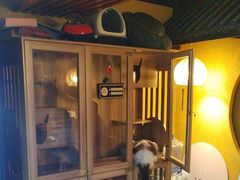 -白兔子密室(长寿路店)