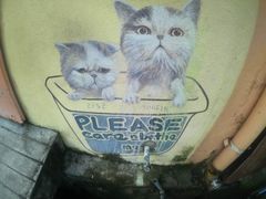 -槟城街头艺术街区