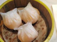 -东方早茶 海鲜•青岛菜(国信体育中心店)