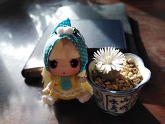 -青岛沧口长途汽车站