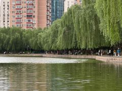 -团结湖公园
