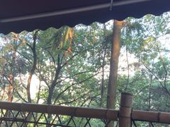 -伴山茶苑·一盏冰茶·半日山居