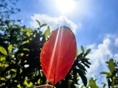 -成都老君山