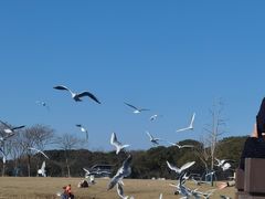 -渤公岛生态公园