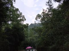 -大雁山风景区