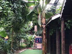 -呀路古热带植物园