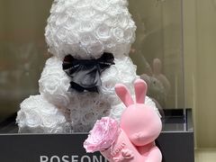 -ROSEONLY诺誓(磐基中心店)