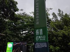 -福道