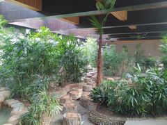 -三江森林温泉度假区