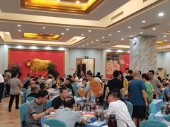 -友谊肥牛