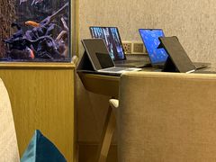 -圣爵菲斯大酒店(长沙世界之窗店)