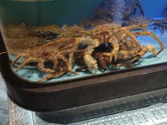-阿伟海鲜楼·福建菜(延寿店)