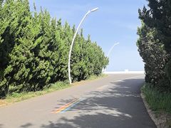 -日照海滨国家森林公园