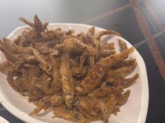 -野菌皇海景野生菌火锅(滨海大道店)