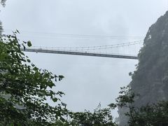 -碧峰峡风景区
