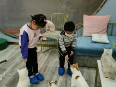 -BABIT巴比特宠物(MOMOPARK店)