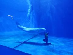 -多彩贵州城极地海洋世界